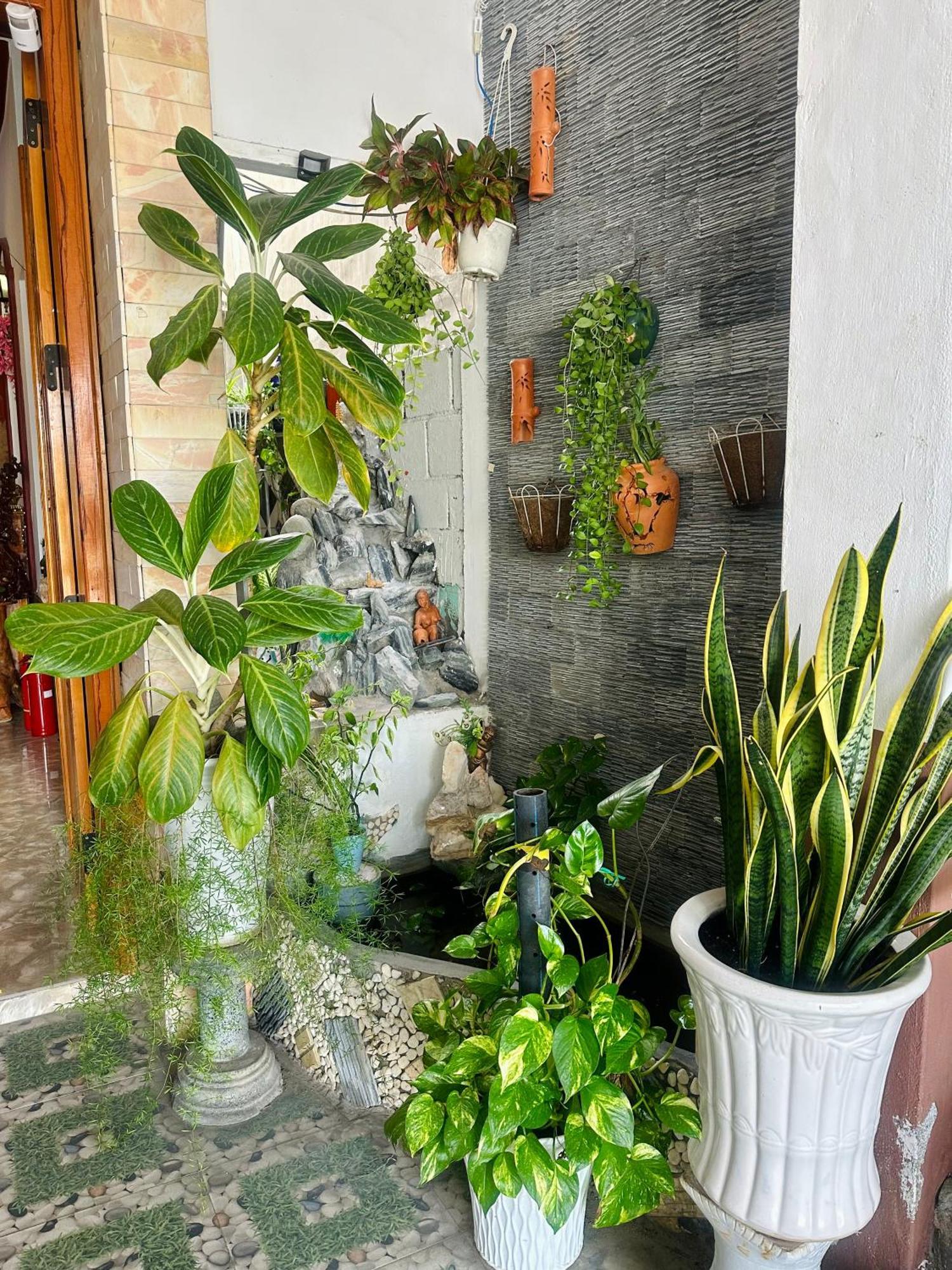 Ngoc Nga Hotel Phan Rang Buitenkant foto
